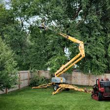 Best Tree and Shrub Care  in Keystone, FL